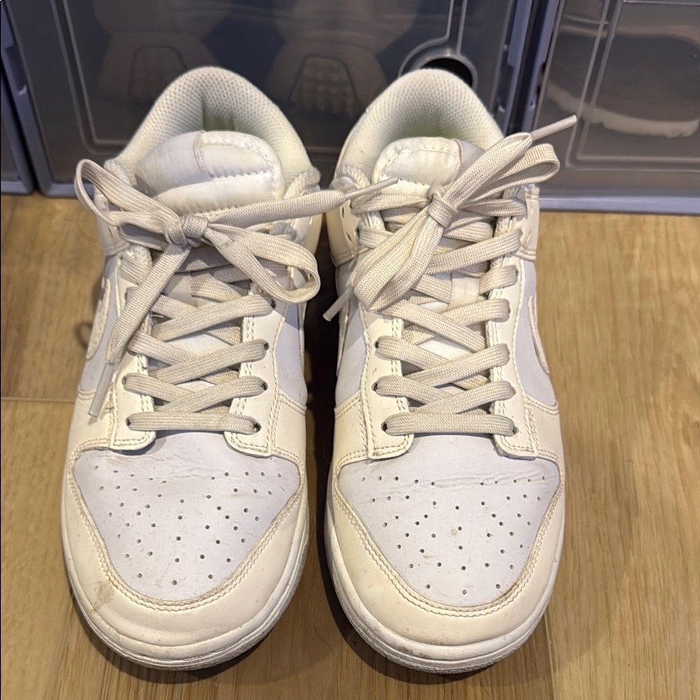 Nike Women’s Dunk Low